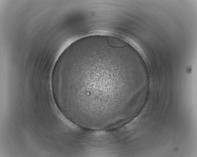 X0000091691283200709061117