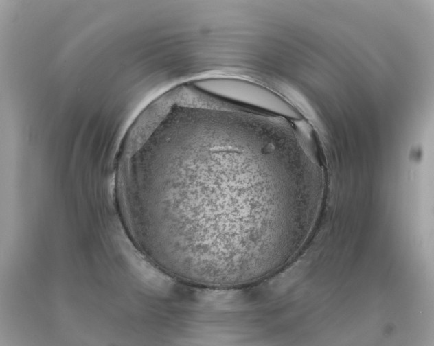 X0000091691284200709061117