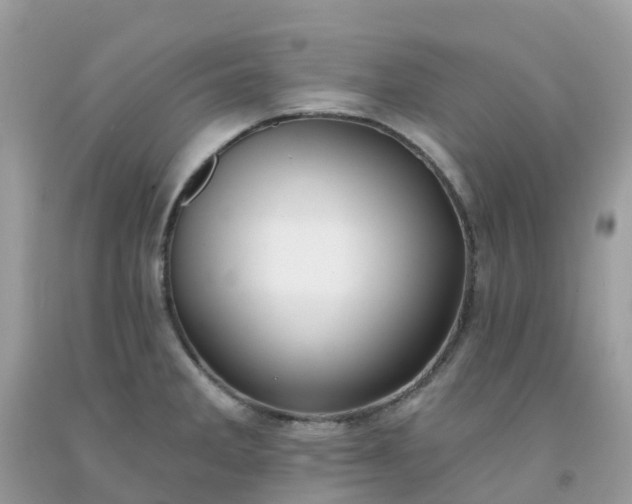 X0000091691285200709061117