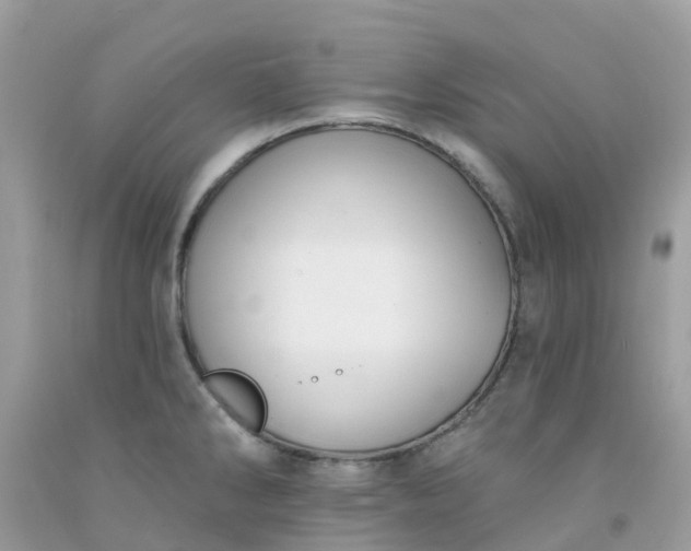 X0000091691286200709061117