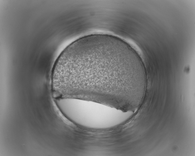 X0000091691287200709061117