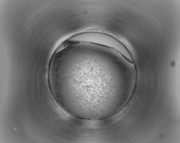 X0000091691288200709061117