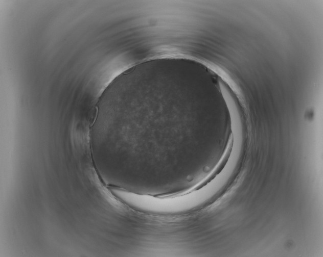 X0000091691289200709061117