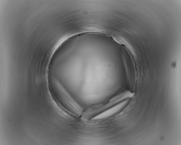 X0000091691291200709061117