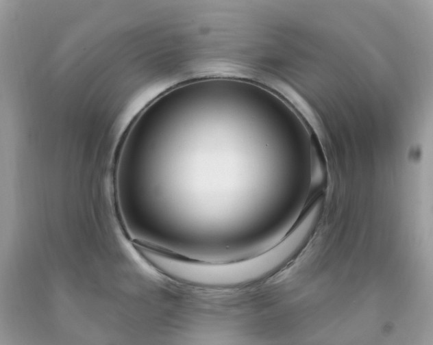 X0000091691293200709061117