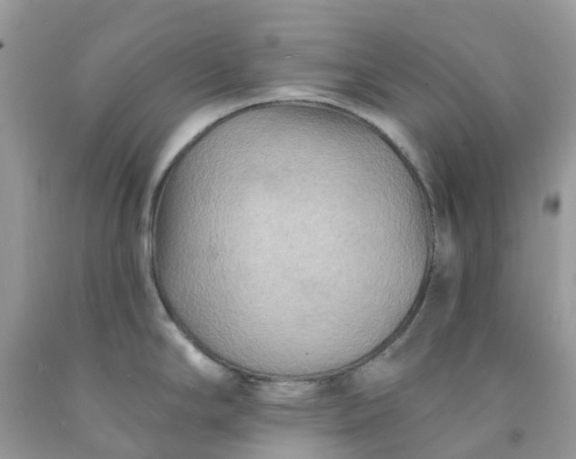 X0000091691294200709061117