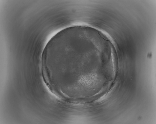 X0000091691295200709061117