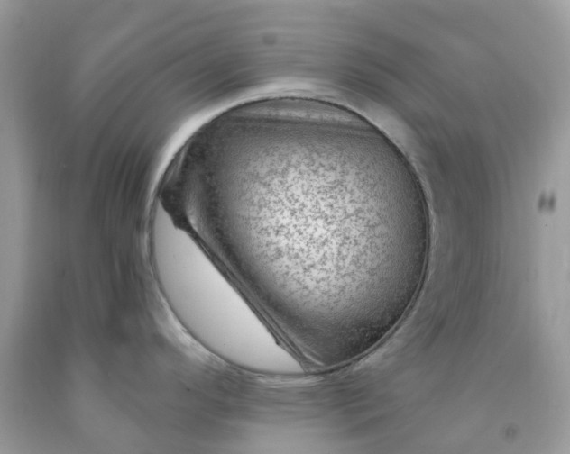 X0000091691296200709061117