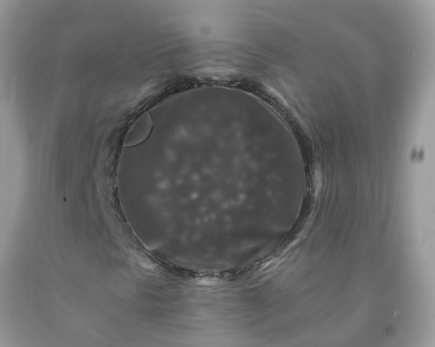 X0000091691297200709061116