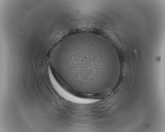 X0000091691298200709061116