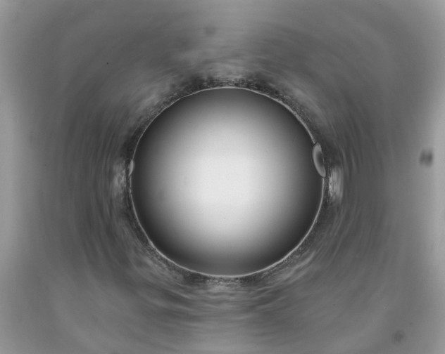 X0000091691299200709061116