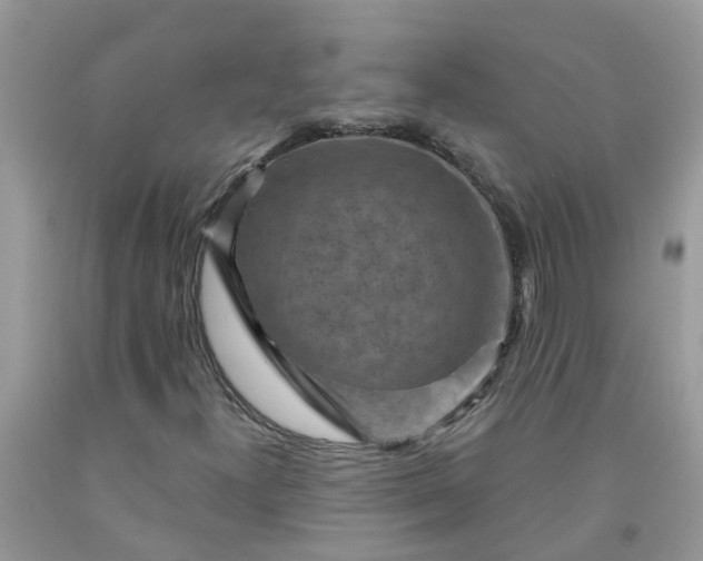 X0000091691300200709061116