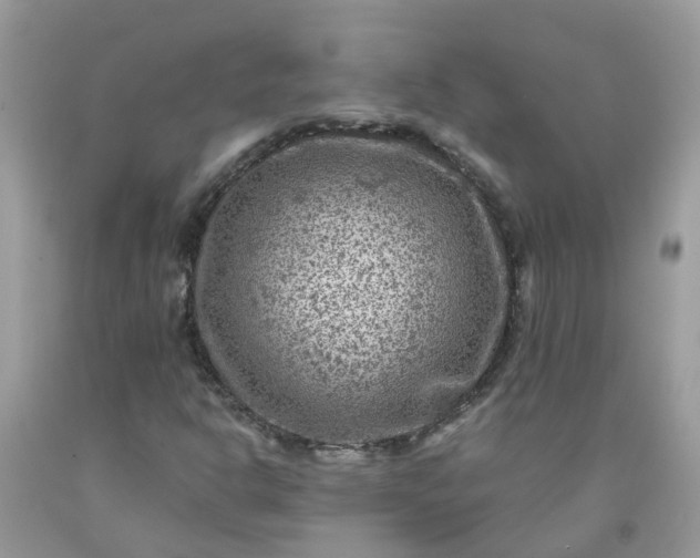 X0000091691302200709061117