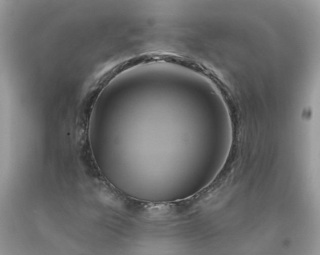 X0000091691303200709061117