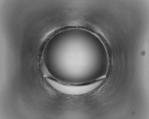 X0000091691304200709061117