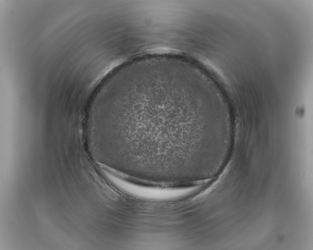 X0000091691305200709061117