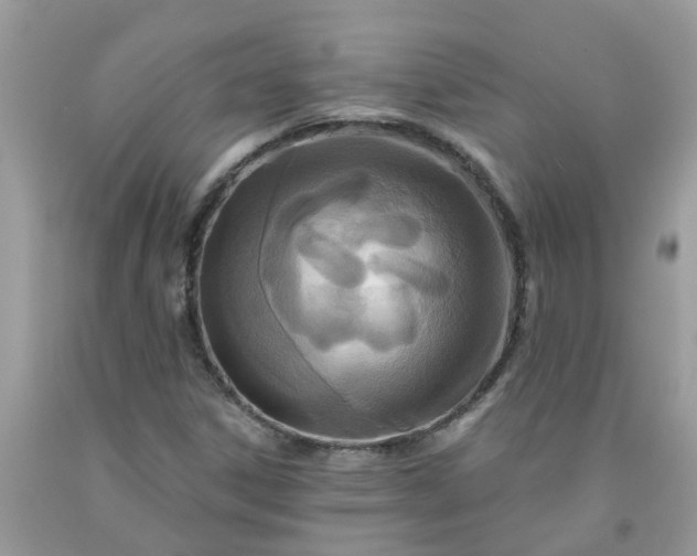 X0000091691306200709061117