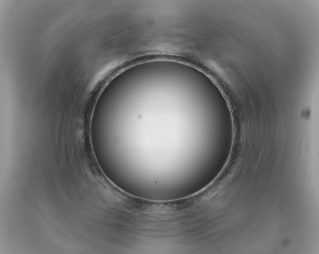 X0000091691307200709061117