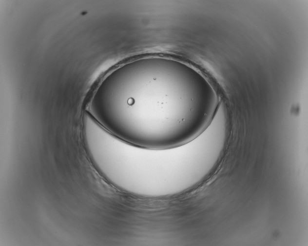 X0000091691308200709061117