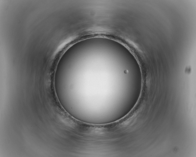 X0000091691309200709061117