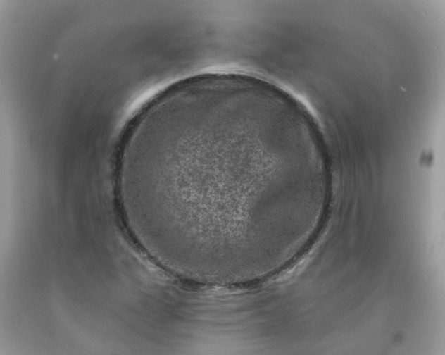 X0000091691311200709061117