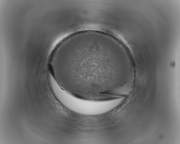 X0000091691312200709061117