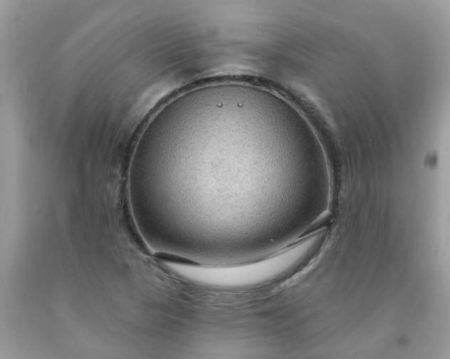 X0000091691313200709061117