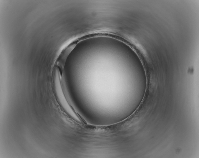 X0000091691316200709061117