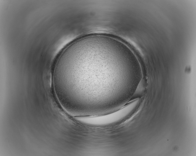 X0000091691317200709061117