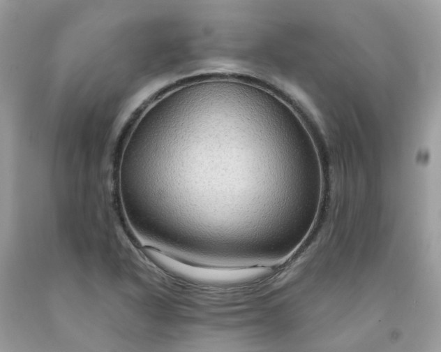 X0000091691318200709061117