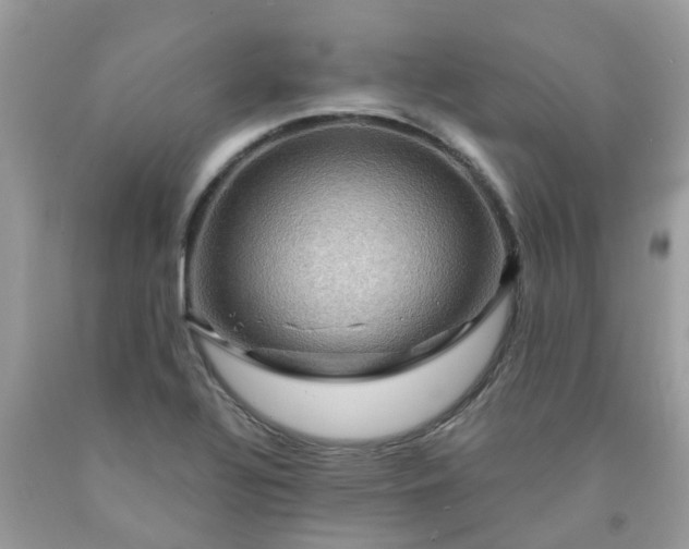 X0000091691320200709061117