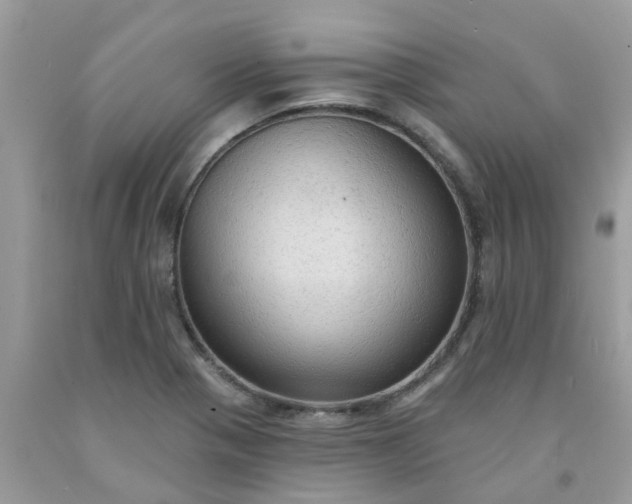 X0000091691321200709061117