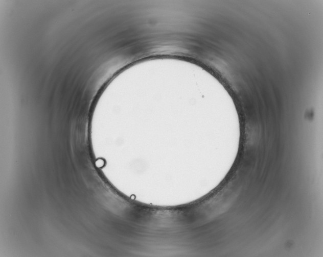 X0000091691322200709061117