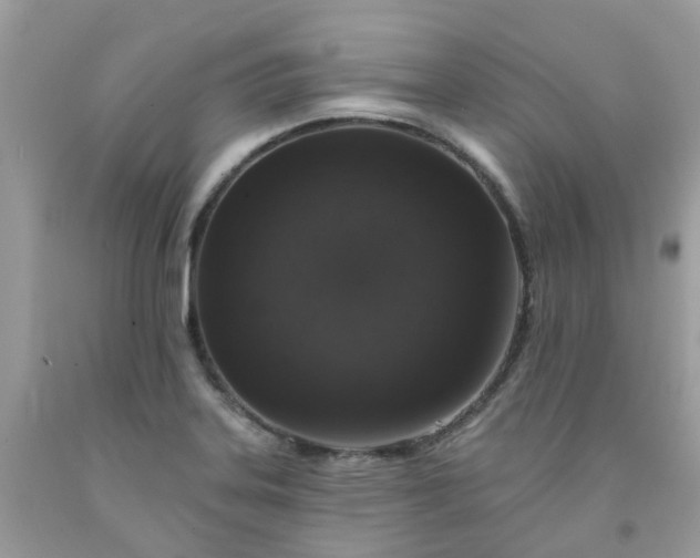 X0000091691323200709061117