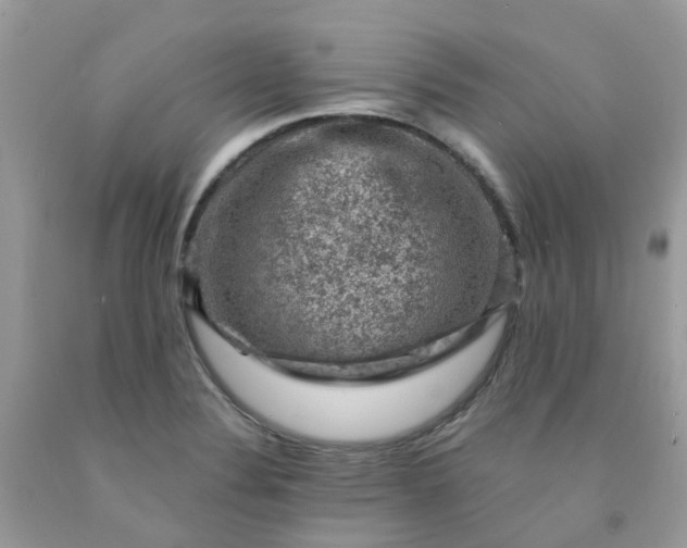 X0000091691324200709061117