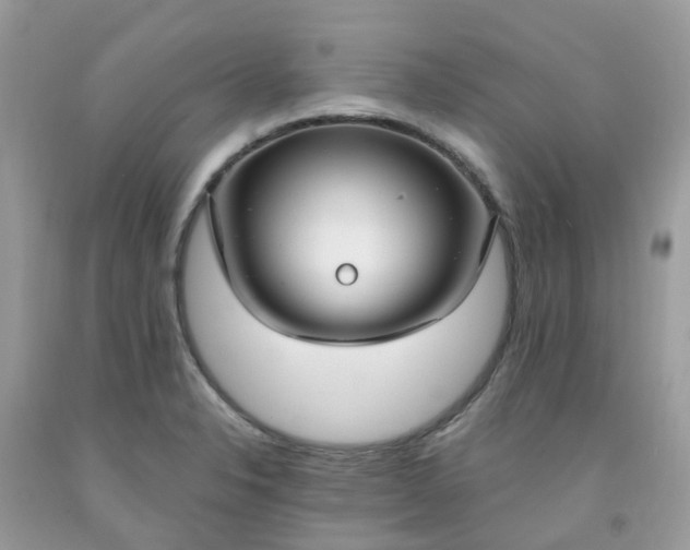 X0000091691326200709061117