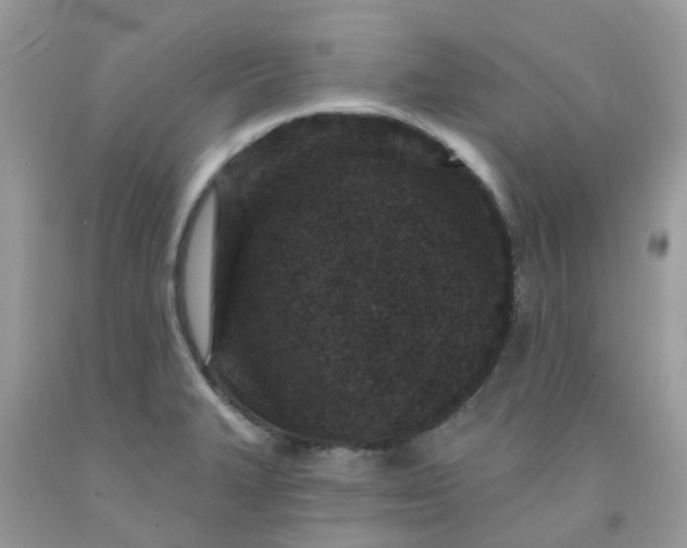 X0000091691327200709061117