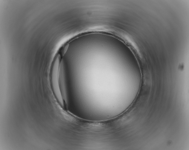 X0000091691328200709061117