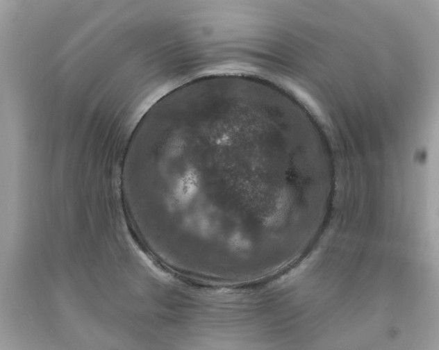 X0000091691329200709061117