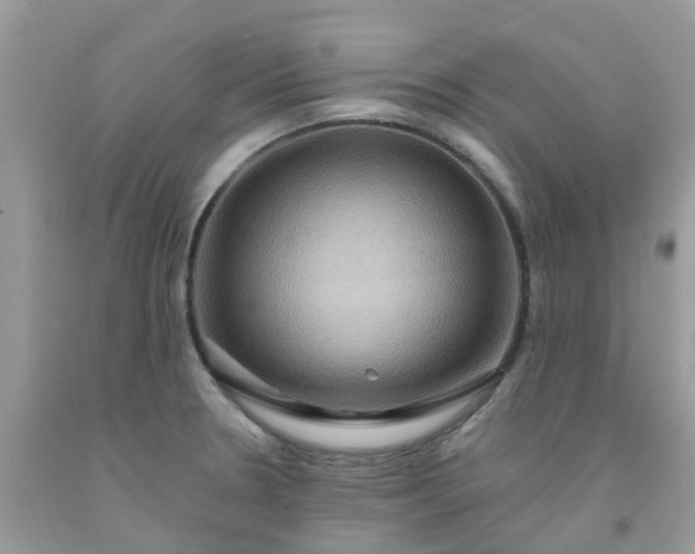 X0000091691330200709061117