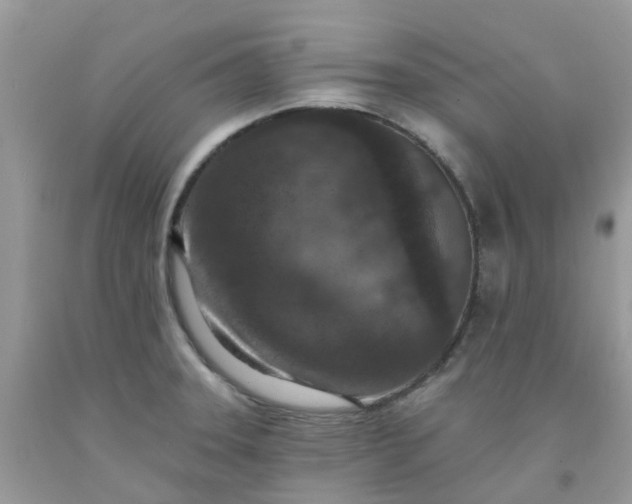 X0000091691331200709061117