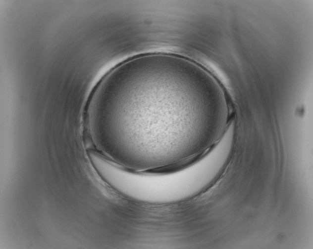 X0000091691332200709061117