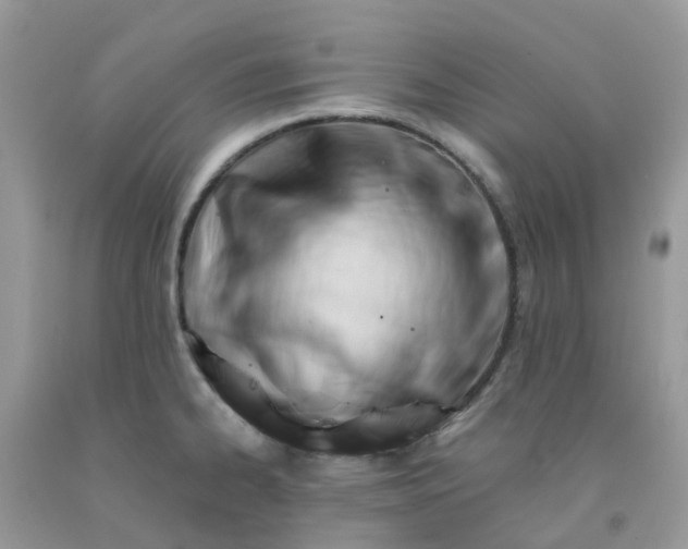 X0000091691334200709061117