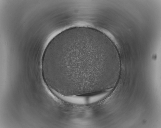 X0000091691335200709061117