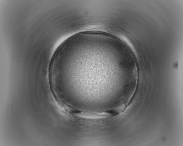 X0000091691336200709061117