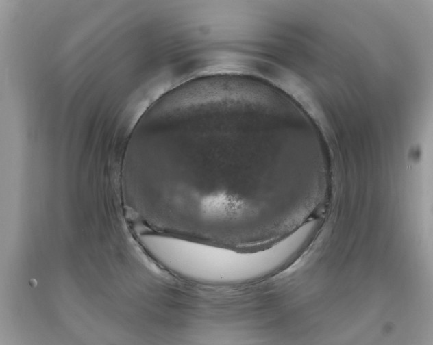 X0000091691337200709061117