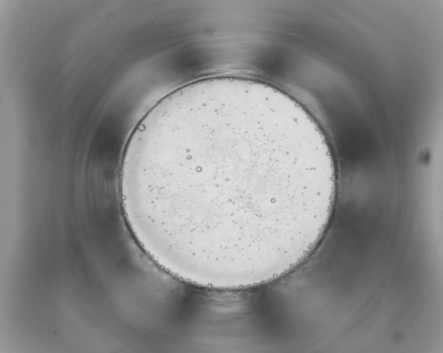 X0000091691338200709061117