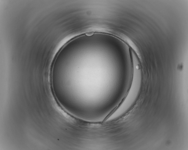 X0000091691339200709061117