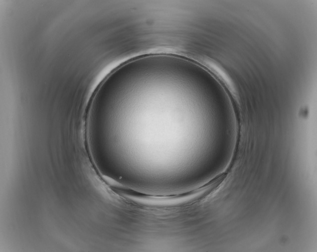 X0000091691340200709061117