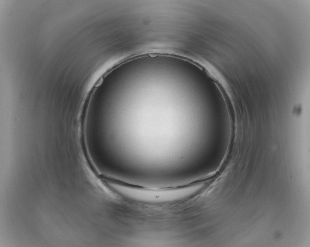 X0000091691341200709061117